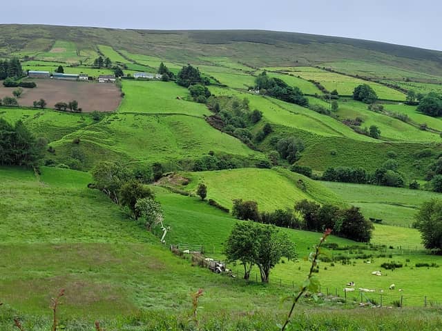 The Glenelly Valley, Co Tyrone. Picture: Darryl Armitage
