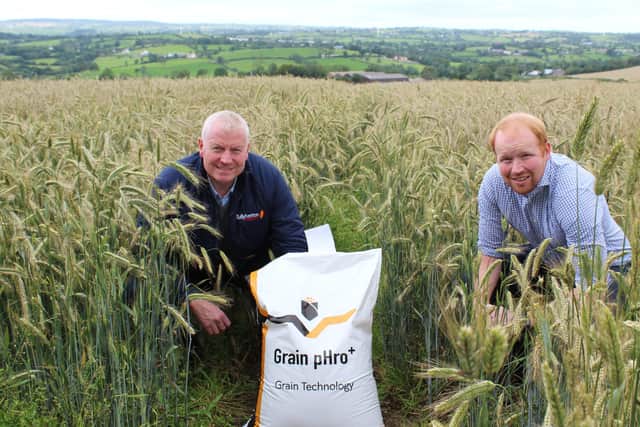 Grain pHro+  consultant Aonghus Giggins (right) discussing the benefits of the product with Paul Sloan of Tullyherron Farm Feeds