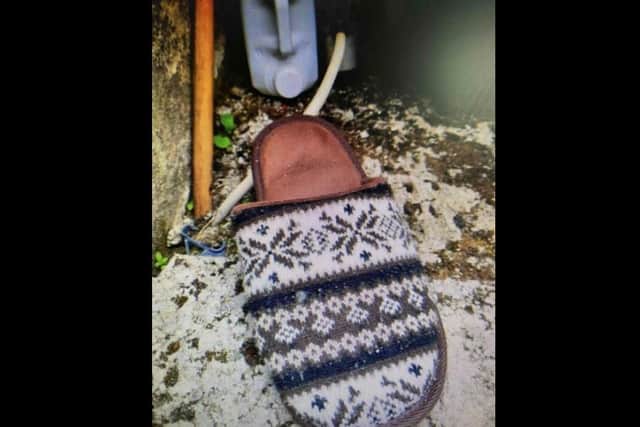 Photo of abandoned slipper issued by PSNI after a break-in in Lurgan.