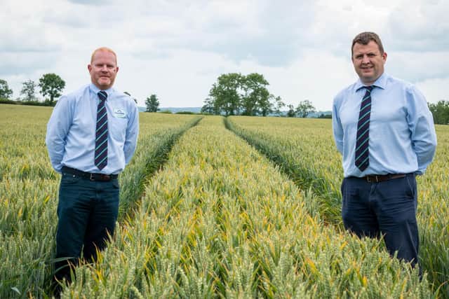 Pictured: (left to right) Stephen Bell, Technical Support Manager and Jonathan Dunn, Agronomy & Forage Services Manager
