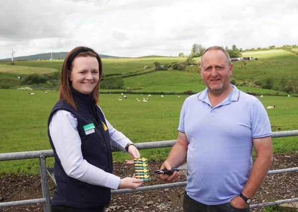 Long-term Countryside Services customer Ronnie Boyd, a sheep and cattle farmer from Drumquin County Tyrone, talks tags with Countryside Services Field Sales Representative Geraldine McElduff.