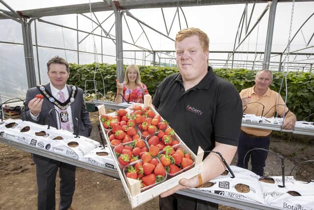 Local Armagh business, Foxberry Fruit Farm received funding of close to £4,900 from the Rural Business Development Grant Scheme last year. Thanks to the funding, they were able to purchase a laptop, water tank, circulation fans and 2,000 metres of strawberry guttering; helping boost their productivity and support their growth.Pictured L-R: Lord Mayor of Armagh City, Banbridge and Craigavon, Alderman Glenn Barr, Head of ABC Council’s Economic Development department Nicola Wilson, Foxberry Fruit Farm Director, Philip Fox and Chair of ABC Council’s Economic Development and Regeneration Committee, Councillor Declan McAlinden.