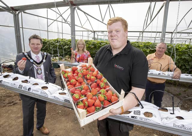 Local Armagh business, Foxberry Fruit Farm received funding of close to £4,900 from the Rural Business Development Grant Scheme last year. Thanks to the funding, they were able to purchase a laptop, water tank, circulation fans and 2,000 metres of strawberry guttering; helping boost their productivity and support their growth.Pictured L-R: Lord Mayor of Armagh City, Banbridge and Craigavon, Alderman Glenn Barr, Head of ABC Council’s Economic Development department Nicola Wilson, Foxberry Fruit Farm Director, Philip Fox and Chair of ABC Council’s Economic Development and Regeneration Committee, Councillor Declan McAlinden.
