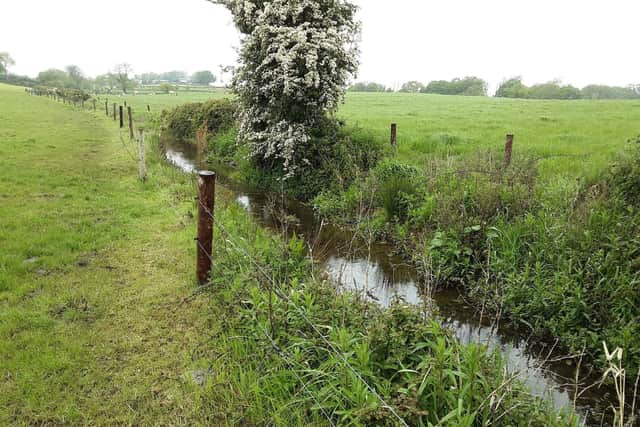 Fencing an open drain bank and observing buffer zones will not only improve water quality but will also help to prevent the blocking of drains hence allowing the drain to work properly.