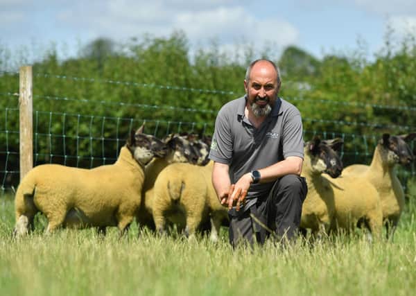 James Alexander is hosting his annual on-farm breeding sheep sale on Saturday 31st August at 88 Gloverstown Road, Randalstown. Over 1000 head will go under the hammer, and are considered to be the best selection the Jalex sheep enterprise have offered to date.
