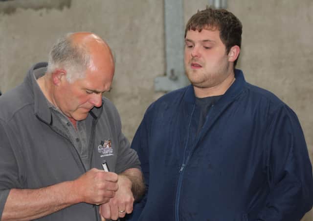Holstein NI chairman Iain McLean, and son Matthew, Bushmills, were among the competitors at the HYB stockjudging event, held at the Dunbanard Herd, Bangor.