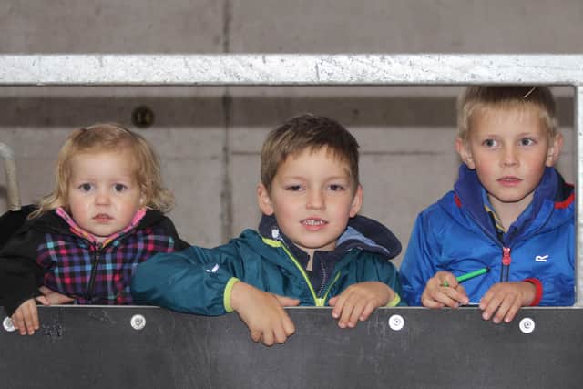 The McCormick family, Sam, Tom and Katelyn from Bangor, pictured at the HYBâ€TMs stockjuging event, held at the Dunbanard Herd.