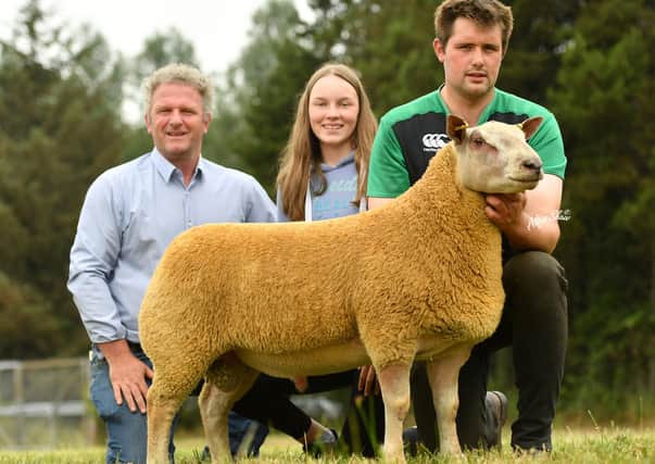 Ram Lamb shown by Graham Foster sold for 2750gns to Aiden Loftus and daughter Emma, County Mayo
