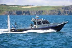 In recent weeks visitors to the coast have enjoyed the special experience of observing marine wildlife including Harbour porpoises, Dolphins, Minke whales and a Thresher shark off Rathlin Island