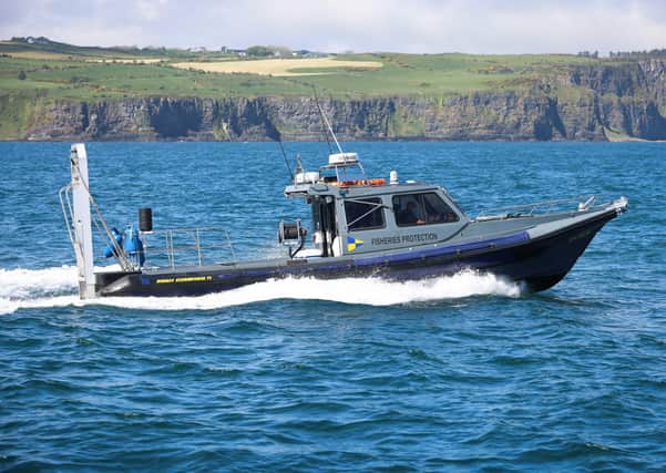 In recent weeks visitors to the coast have enjoyed the special experience of observing marine wildlife including Harbour porpoises, Dolphins, Minke whales and a Thresher shark off Rathlin Island