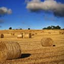 Straw bales near Loughbrickland. Picture: Alan Hopps, Markethill