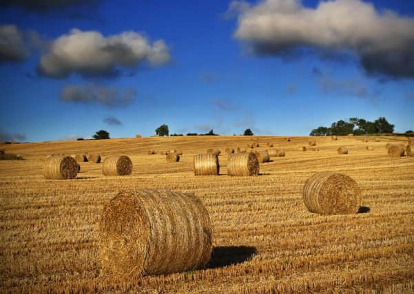 Straw bales near Loughbrickland. Picture: Alan Hopps, Markethill