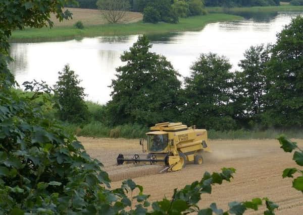 The grain harvest has got off to a good start with the winter barley crop largely completed in good conditions.