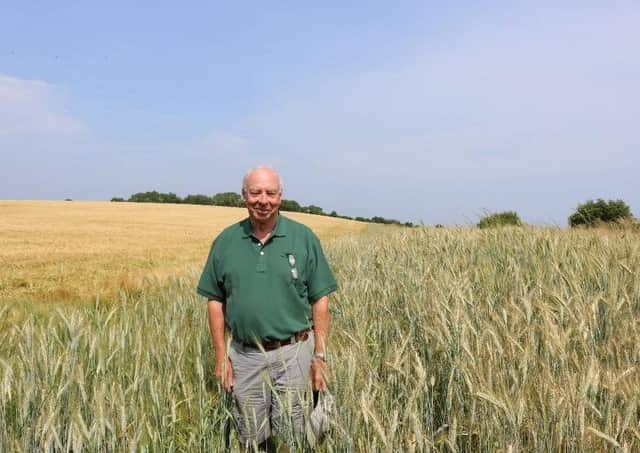 David Sandford, a previous NI Wildlife Farmer of the Year in one of his arable margins on his farm in Strangford. Book onto TDF visits via the CAFRE website.