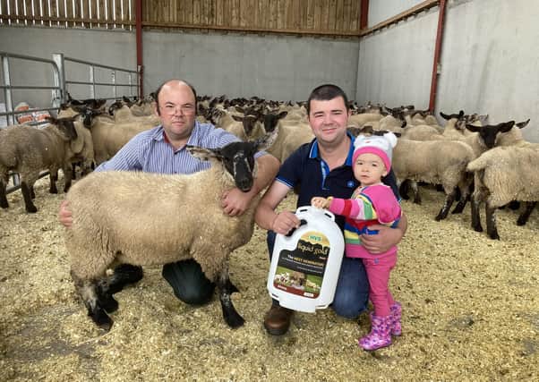 Looking forward to the upcoming ewe lamb sales in Ballymena and Armoy: James and Peter McAuley with his daughter Grace