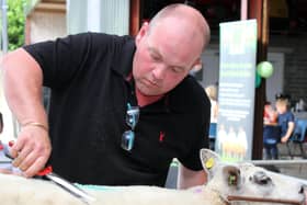 John Barclay, (Beachy Flock) Maybole Ayrshire is judging the Irish Beltex Sheep Breeders Club show at the Club sale of 71 MV Accredited and Scrapie Monitored Beltex Pedigree Sheep being held at Beattie Livestock Sales in Omagh on Saturday, 21st August.