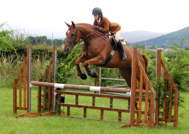 H Steele jumping in the Working Hunter classes