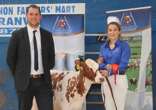 Jessica Hall exhibited the first prize calf Beechmount Sandy Rose 6 on behalf of Robert and Caroline McConnell. Included is judge Kevin Lawrie. Picture: Julie Hazelton