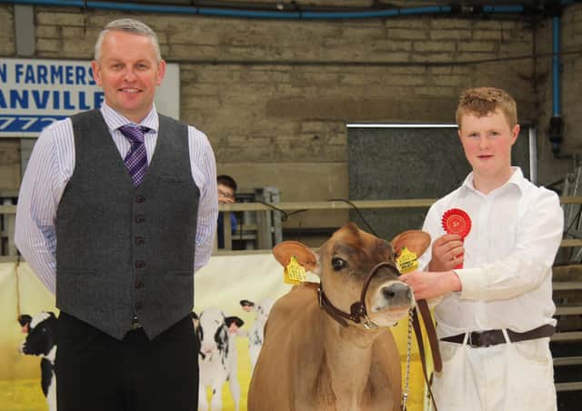 Tom McKnight exhibited the first prize Jersey heifer Damm Video Ruby bred by David Simpson, Lisburn. Included is judge David Gray, Scotland. Picture: Julie Hazelton