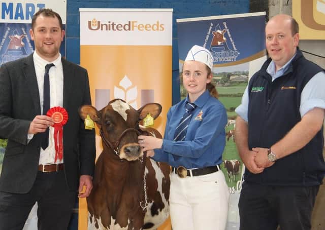 Rachel Corley exhibited the first prize heifer Slatabogie Hector Alice, bred by Alan and Leanne Paul, Maghera. Adding their congratulations are judge Kevin Lawrie; and sponsor David Simpson, United Feeds. Picture: Julie Hazelton