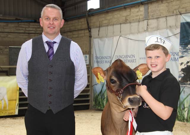 Will Patton, Carrowdore, won first prize with his Jersey heifer Potterswalls Joyride Coralie. He was congratulated by David Gray, judge. Picture: Julie Hazelton