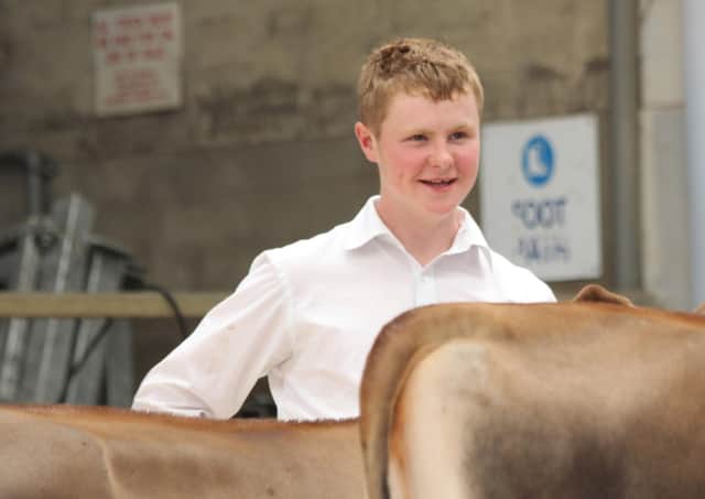 Tom McKnight from Lisburn competing in the Jersey section at the 18th Multi-Breed Dairy Calf Show, held at Dungannon. Picture: Julie Hazelton