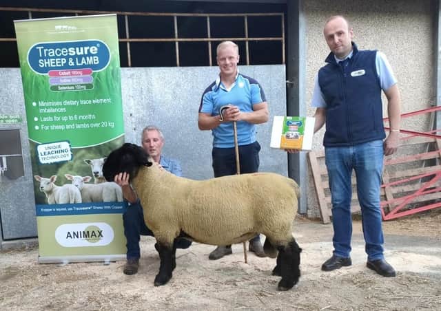 Top price shearling from Geoffrey Douglas sold for 980gns, Neil Acheson representing Animax, sale sponsors, and Callum Patterson, NI Suffolk Branch representative