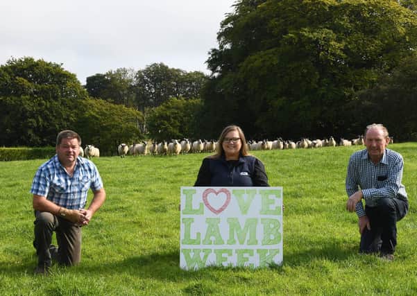 Left to right, Nigel McLaughlin UFU hill farming chair, Lauren Patterson Livestock and Meat Commission marketing and communications manager and Pat McKay UFU beef and lamb chair