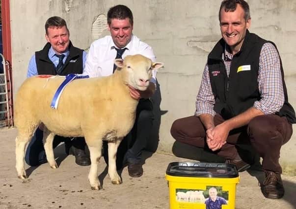 Steven Lyons with reserve champion, lot 16 pictured with judge Richard Currie and sponsor Mark Crawford, Top Flock