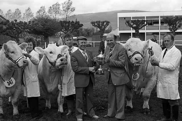 Presenting the E T Green Trophy to NI Charolais Club chairman, Mr David Heenan, after a Charolais won the inter-breed competition for beef cattle at the Balmoral Show in 1981. Holding the winning Charolais trio are Mrs Florrie Short, Cyril Millar and James Simpson. Picture: Farming Life archives