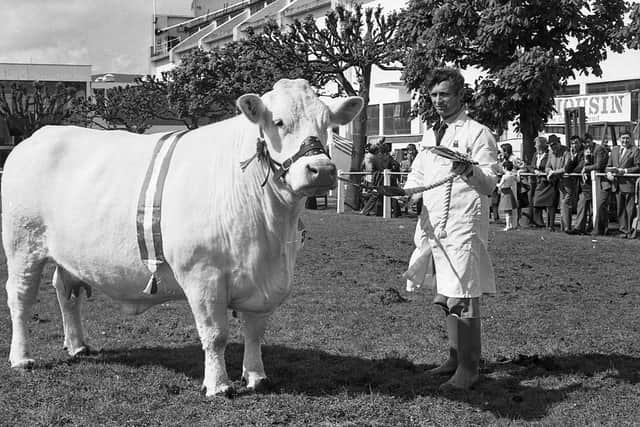 Mr Cyril Millar, Coleraine, with his Charolais supreme champion cow, crowning several breed successes at the Balmoral Show in 1981. Picture: Farming Life archives