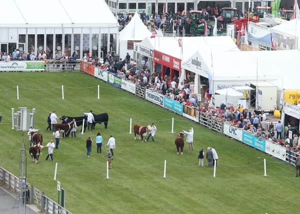 PressEye-Northern Ireland- 15th May  2019-Picture by Brian Little/PressEye
General views. of  Balmoral Park during the first day of the Balmoral Show 2019
Picture by Brian Little/PressEye