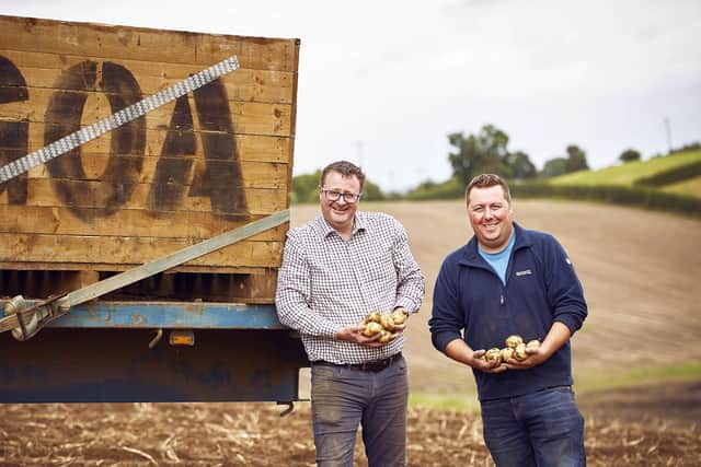 David Morrow and Stephen Christie, Kempe Stones, Co. Down â€“ proudly supplying M&S potatoes for 10 years.