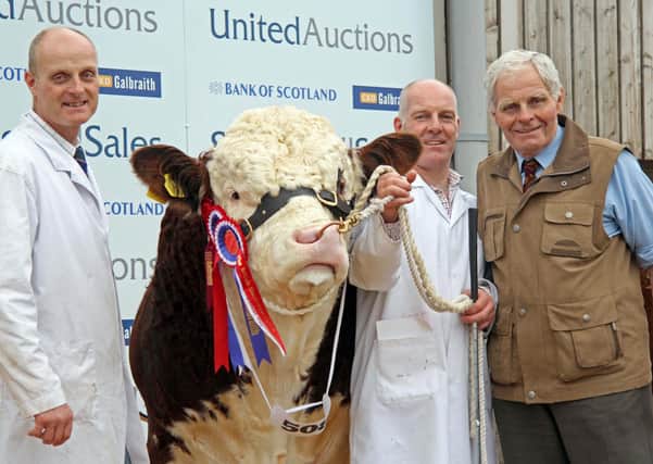 October 2013: Billy Robson OBE, and sons Michael and Norman scooped the Stirling supreme Simmental championship with Kilbride Farm Detroit. Picture: Julie Hazelton