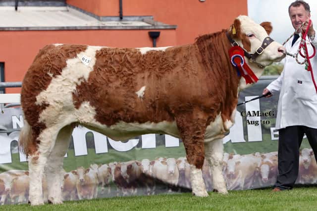 August 2010:  Cleenagh Avon bred by Adrian Richardson was the supreme champion at the clubâ€TMs 40th Anniversary Elite Sale. She sold for a then female record of 12,000gns. MacGregor Photography
