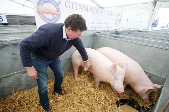 Pig farmer Trevor Shields from Killkeel does not believe politicians have been listening to the threats facing the sector. Jonathan Porter/PressEye.com