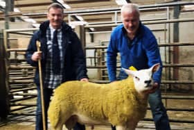 Judge Geoffrey Fleck hands over the Tannahill Livestock Care Championship to Roger Strawbridge Tamnamoney Texels Coleraine at the NI Texel Sheep Breeders Club Show and Sale at Armoy Market recently.