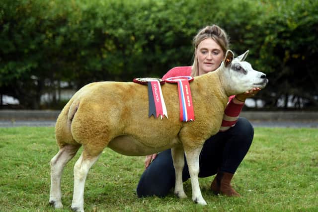 Katy Davies with Dafydd Owen’s Skipton Beltex supreme champion shearling ewe
