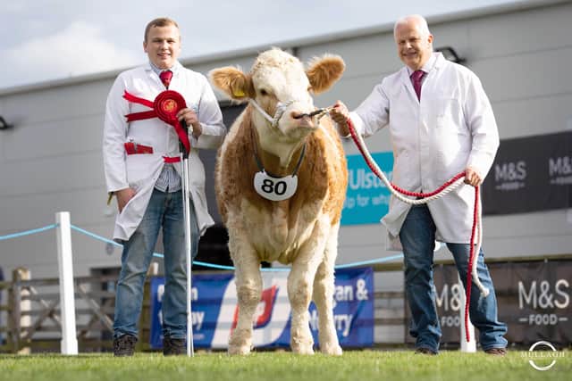 The female champion and reserve supreme champion at Balmoral Show was Drumsamney Lady Jane exhibited by Roger and Jonathan Henderson, Desertmartin. Picture: Mullagh Photography