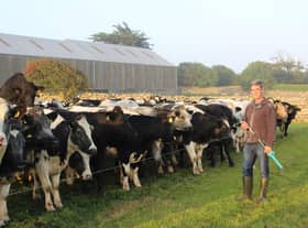 CAFRE Technology Demonstration Farmer, James Henderson, Kilkeel with a batch of 22-month year old dairy origin heifers.