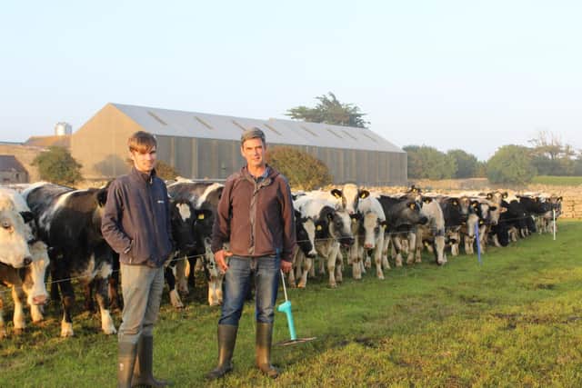CAFRE Technology demonstration Farmer, James Henderson, Kilkeel and his son Scott with a batch of 22-month year old dairy origin heifers.