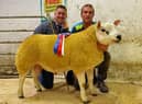 Adrian Liggett, Corbo Texels accepts the Holden Agri Ltd Champion rosette from Judge David Chestnutt at the NI Texel Sheep Breeder’s Club sale in Lisahally.