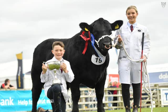Junior bull Loughans Moaning W591 bred by John and Rory Best, Poyntzpass, was the winner of the JD Templeton Memorial Perpetual Challenge Trophy. Pictured with the prize winning bull are Ben Best and Ruth Hamill. Picture: Alfie Shaw