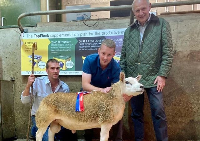 Judge Adrian Liggett hands over the Farmware Champion rosette to Marcus Johnston Killarbran Flock at the recent pedigree Texel ram sale in Enniskillen Market.  Also pictured is Ian Crawford Farmcare who sponsored the event and the NI Texel Sheep Breeder’s Club extend their thanks to Farmcare for their continued support and sponsorship of the event.