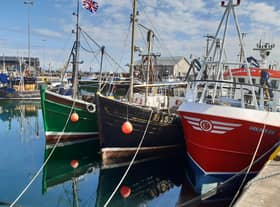 Some of the fleet in Portavogie Harbour in late summer of 2021. Picture: Darryl Armitage