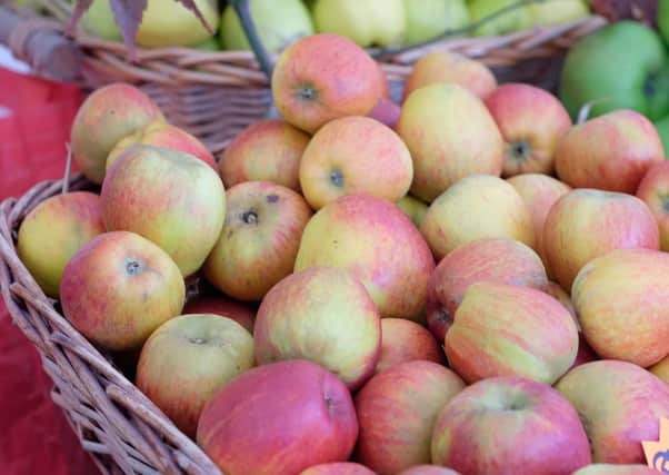 Richhill Apple Harvest Fayre 

 Richhill Co.Armagh 
  
26 October 2019   
CREDIT: www.LiamMcArdle.com