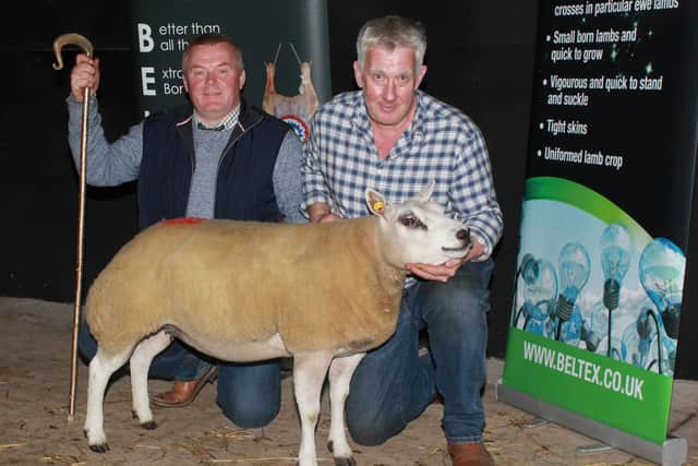 Edward Nicholson, right, with Edward and Shirlee Nicholson's Female Champion and Reserve Show Champion, Derryogue Francisca, Lot 63, a Shearling Ewe. Looking on is judge, Brendan McQuaid.