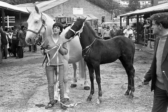 Fiona Devlin from Knockmoyle, Omagh, Co Tyrone, with the reserve champion mare and foal at the Enniskillen (Fermanagh) Show in August 1982. Picture: Farming Life/News Letter archives
