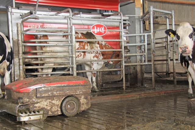 Next week's open day is designed to showcase how Lely's Grazeway system works in tandem with the Astronaut A5 milking robots, to give farmers the option of managing cows at grass. Picture: Julie Hazelton