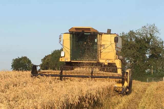 Combining oats at Greenmount Campus